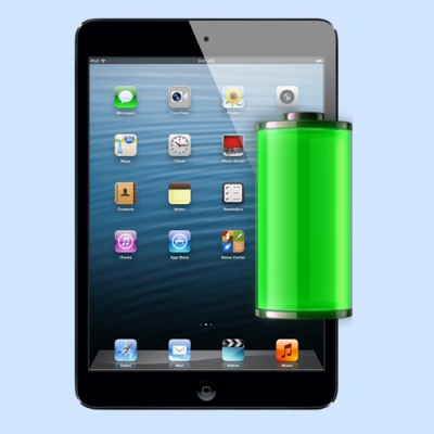 iPad Mini 2  Battery